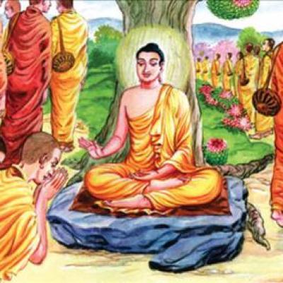 Thông qua những Lời Phật dạy về đạo làm người bạn sẽ tìm ra cho mình lối sống lành mạnh hơn hướng tới chân, thiện, mỹ bằng thái độ tích cực và lạc quan.